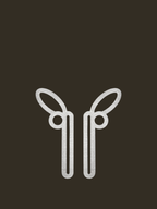 Geneva Earrings - Small