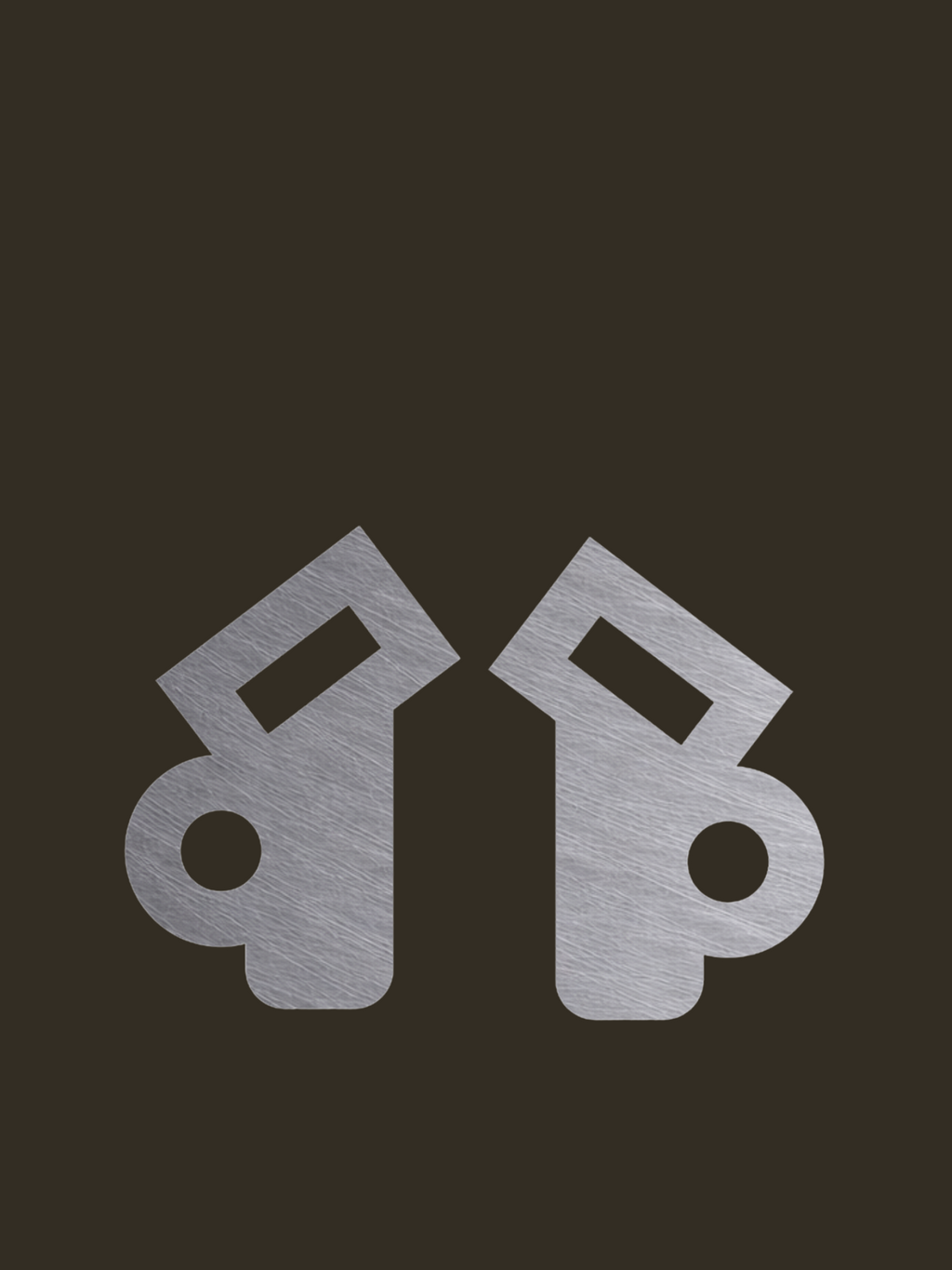 Federation Grande Earrings